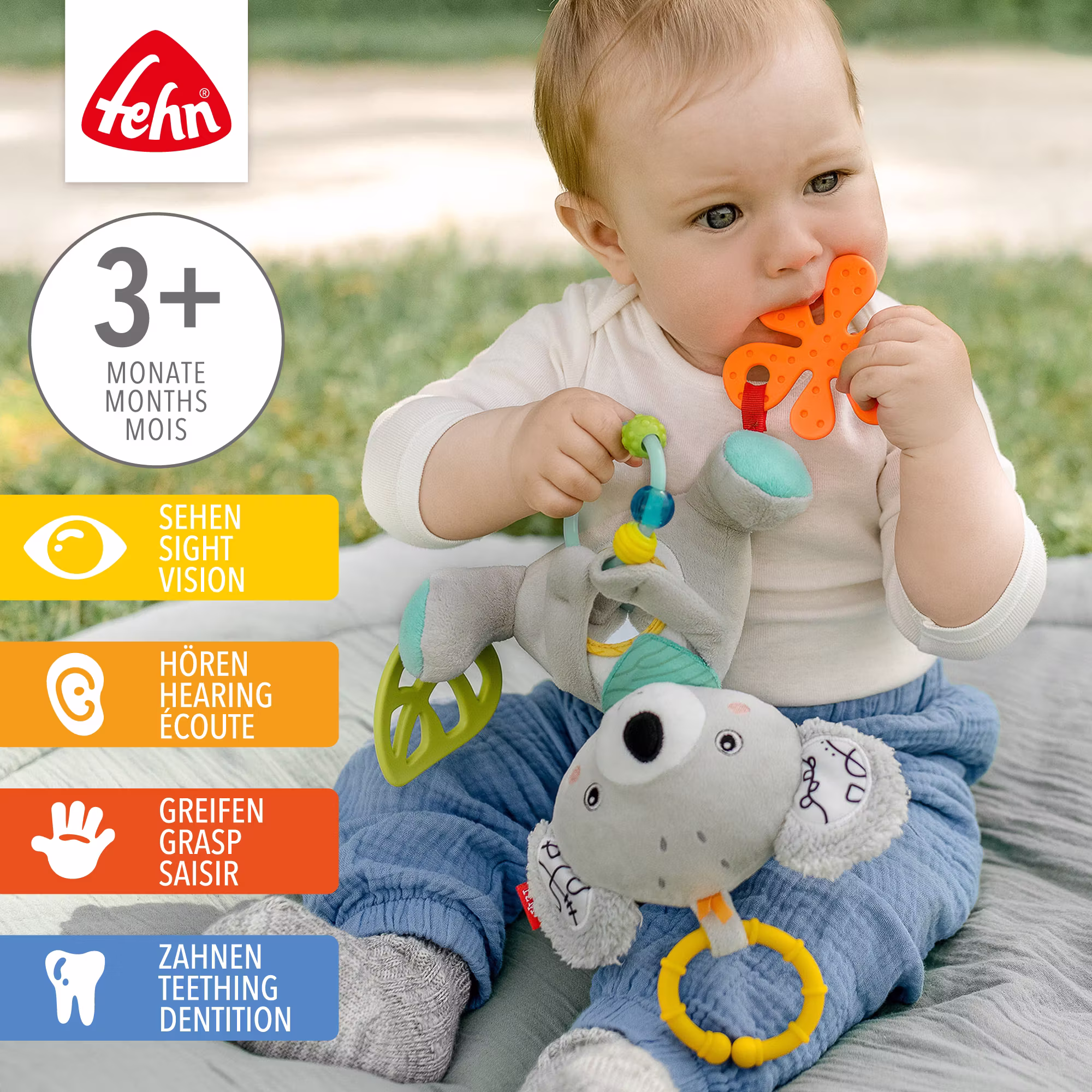 Activity-Koala - Jamouz