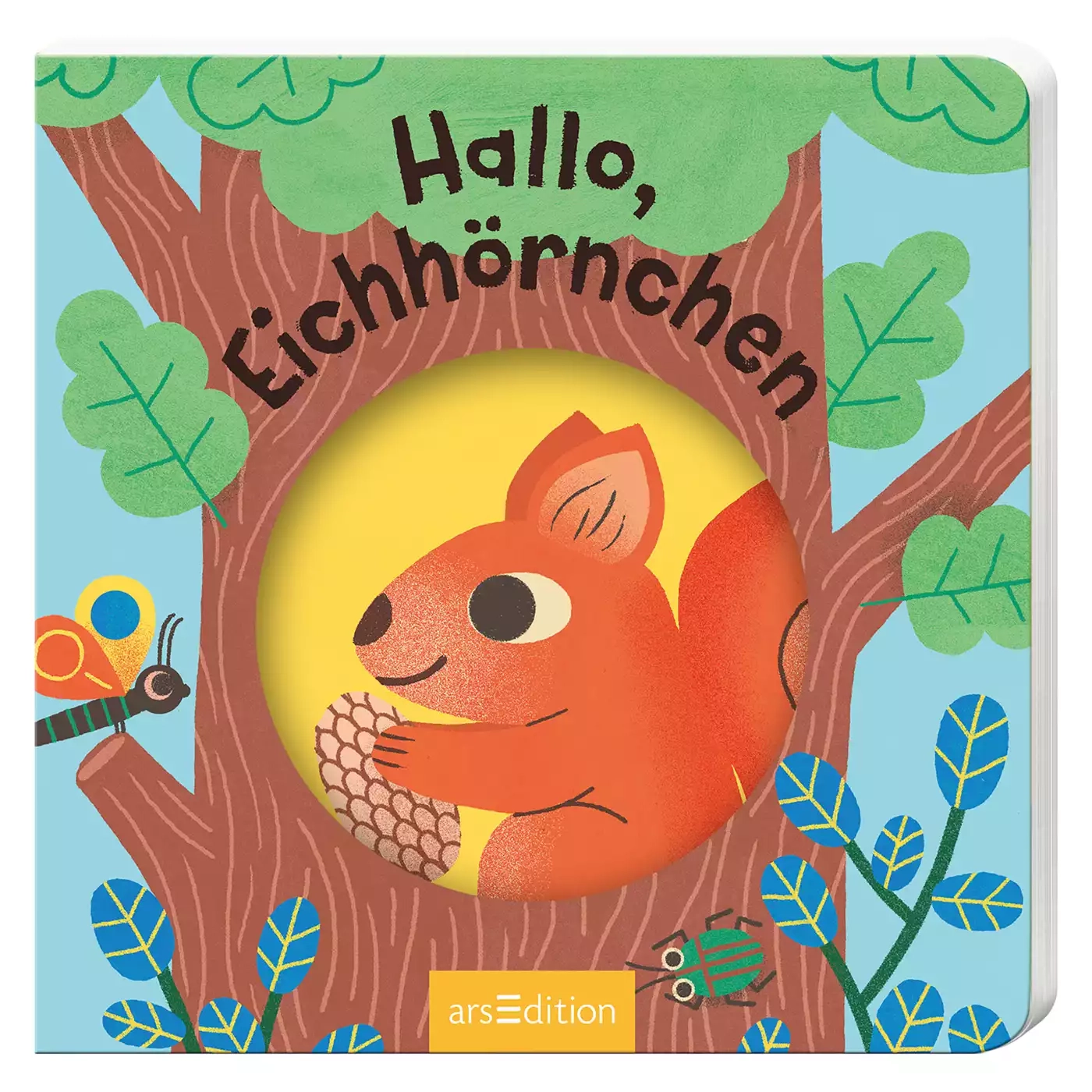 Hallo Eichhörnchen - Jamouz