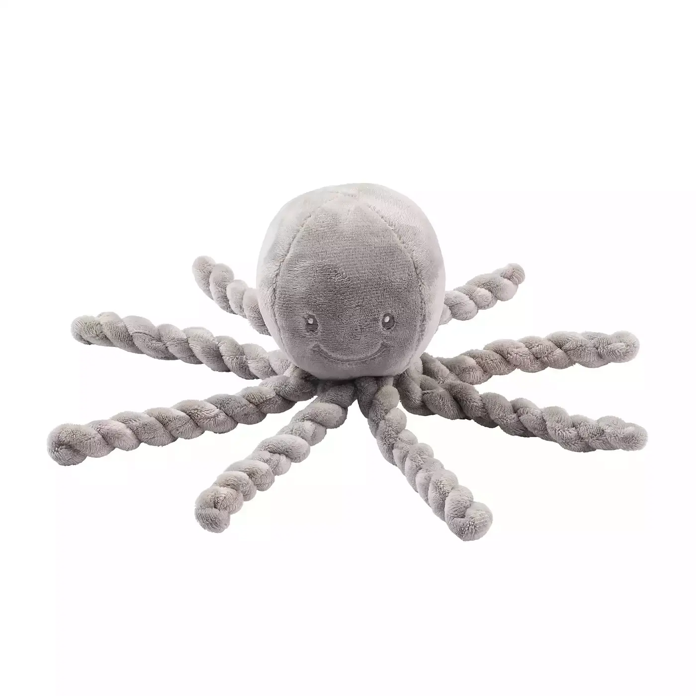 Lapidou Kuscheloktopus - Jamouz