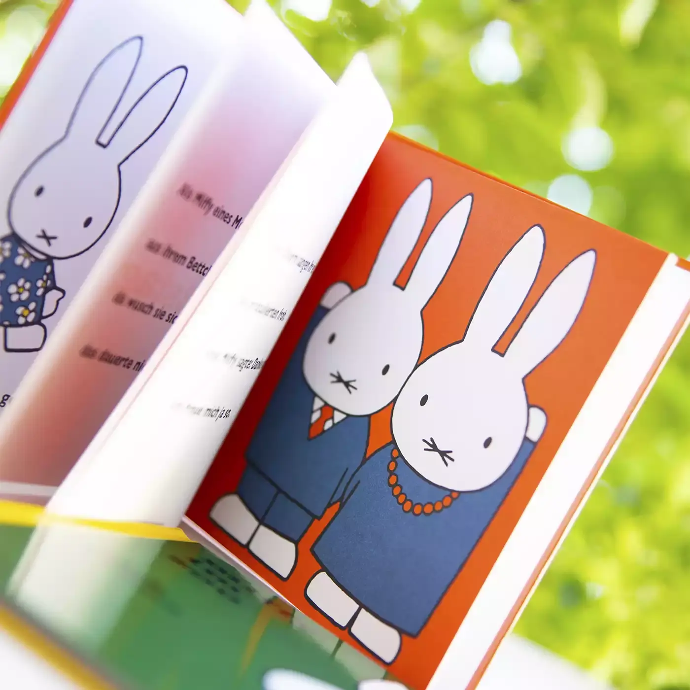 Buch Miffy - Jamouz