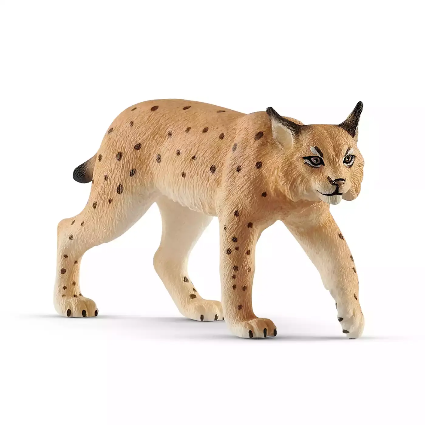 Luchs - Jamouz