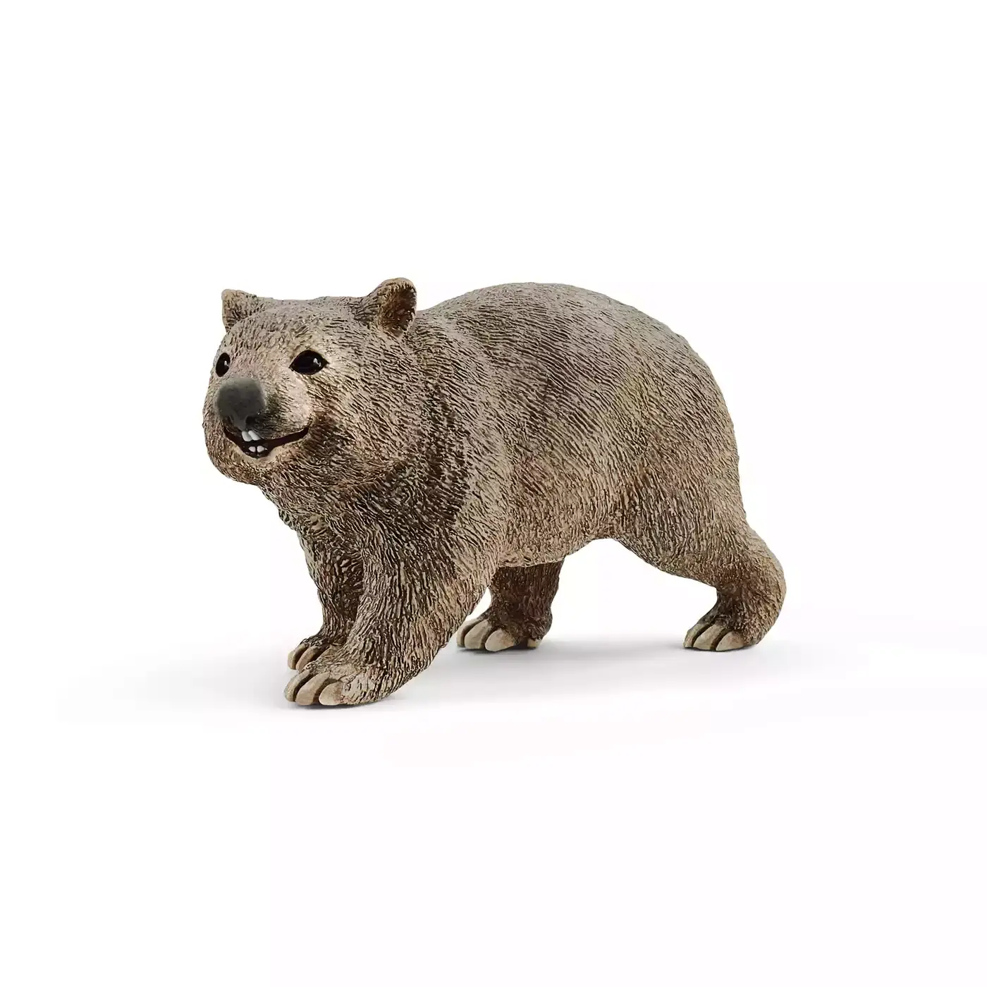 Wombat - Jamouz