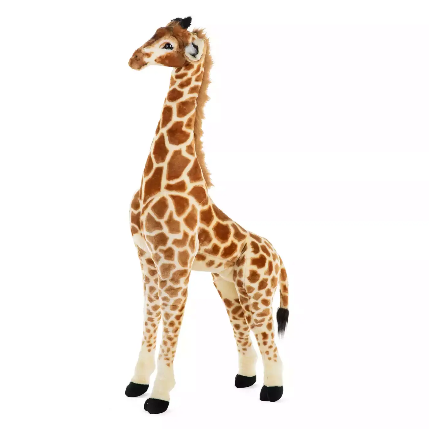 Stehende Giraffe - Jamouz