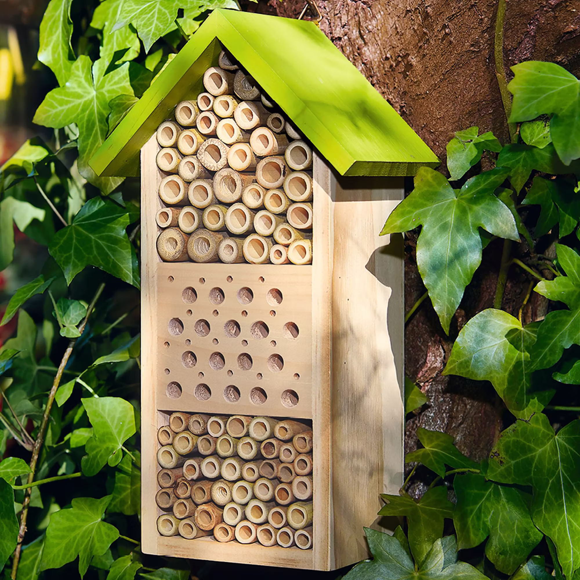 Bienenhotel - Jamouz