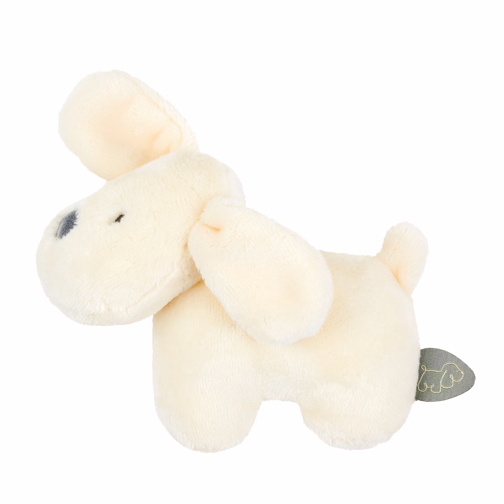 Rassel Hund Charlie - Jamouz
