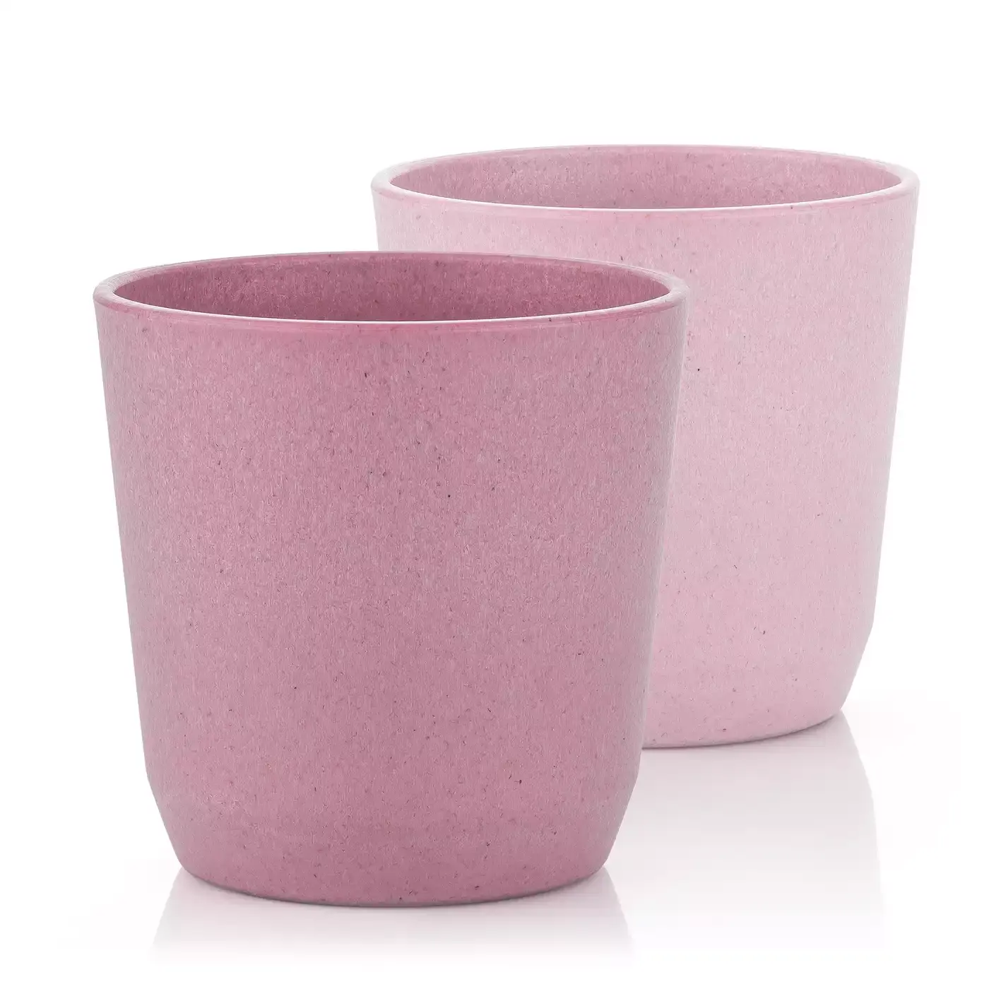 Growing Becher - Jamouz