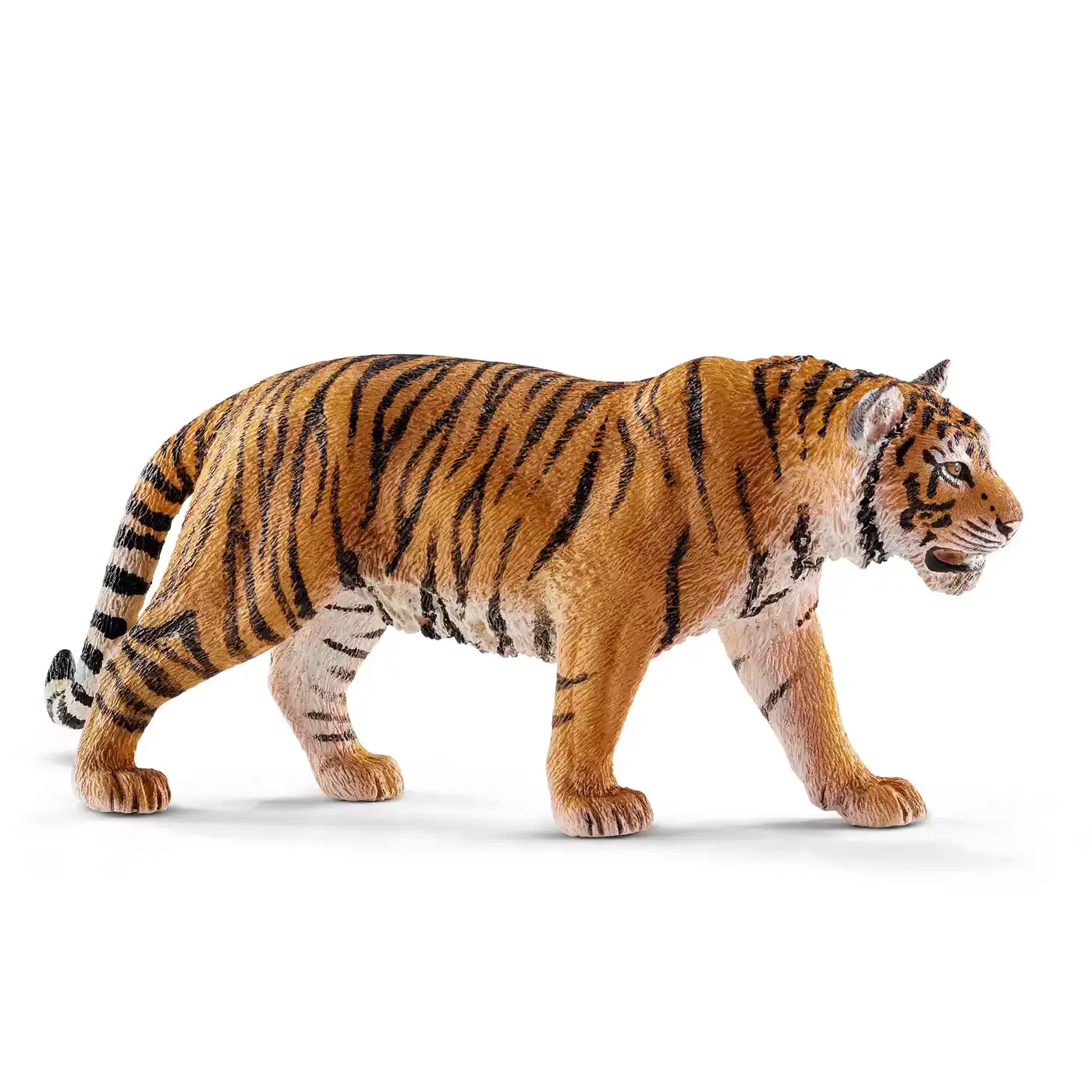 Tiger - Jamouz