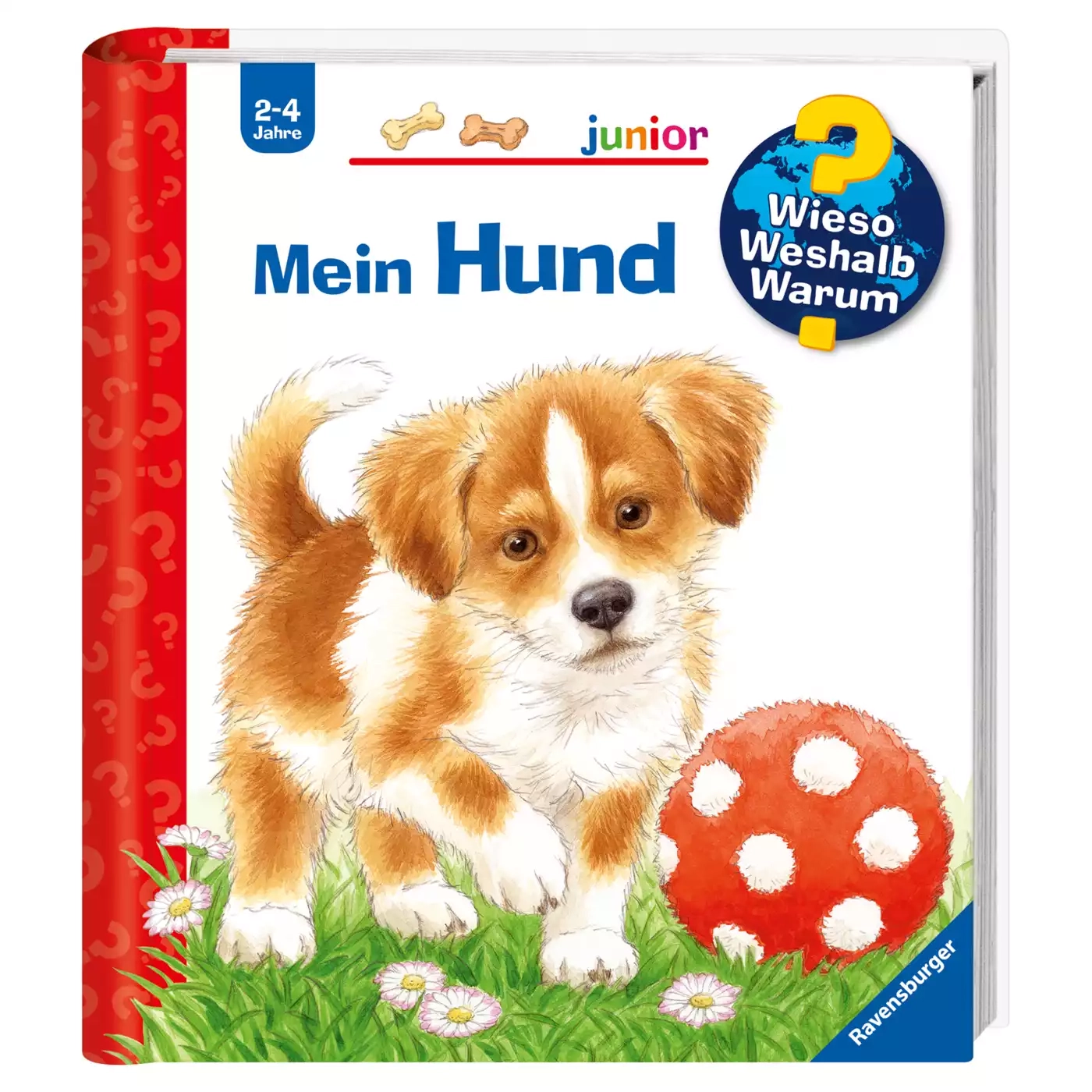 WWW junior: Mein Hund - Jamouz