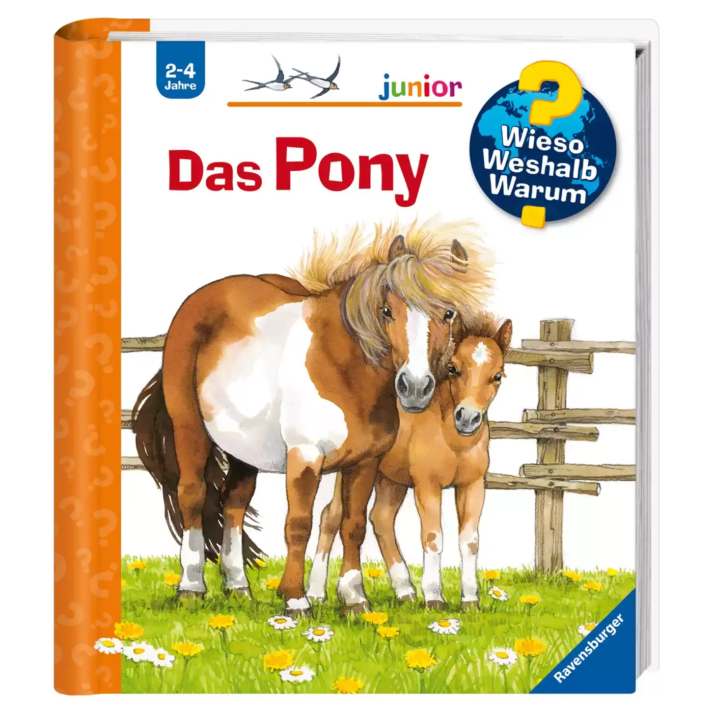 WWW junior Das Pony - Jamouz