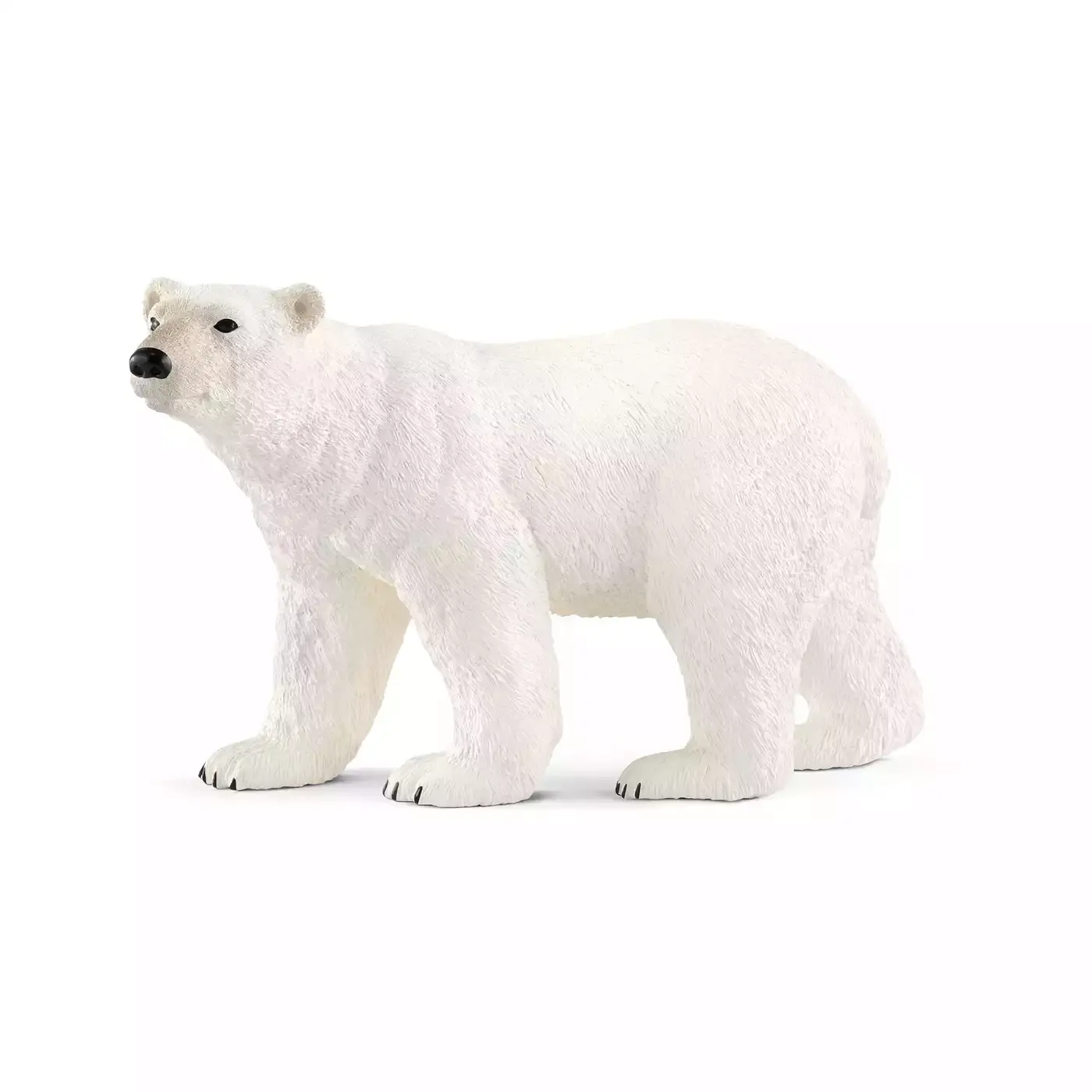 Eisbär - Jamouz