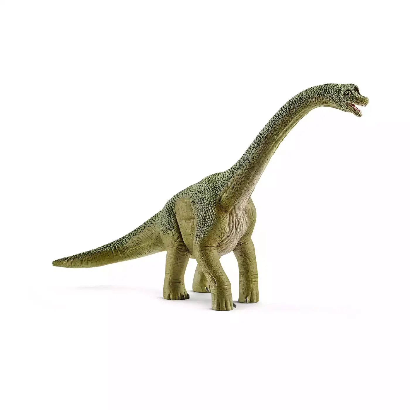 Brachiosaurus - Jamouz