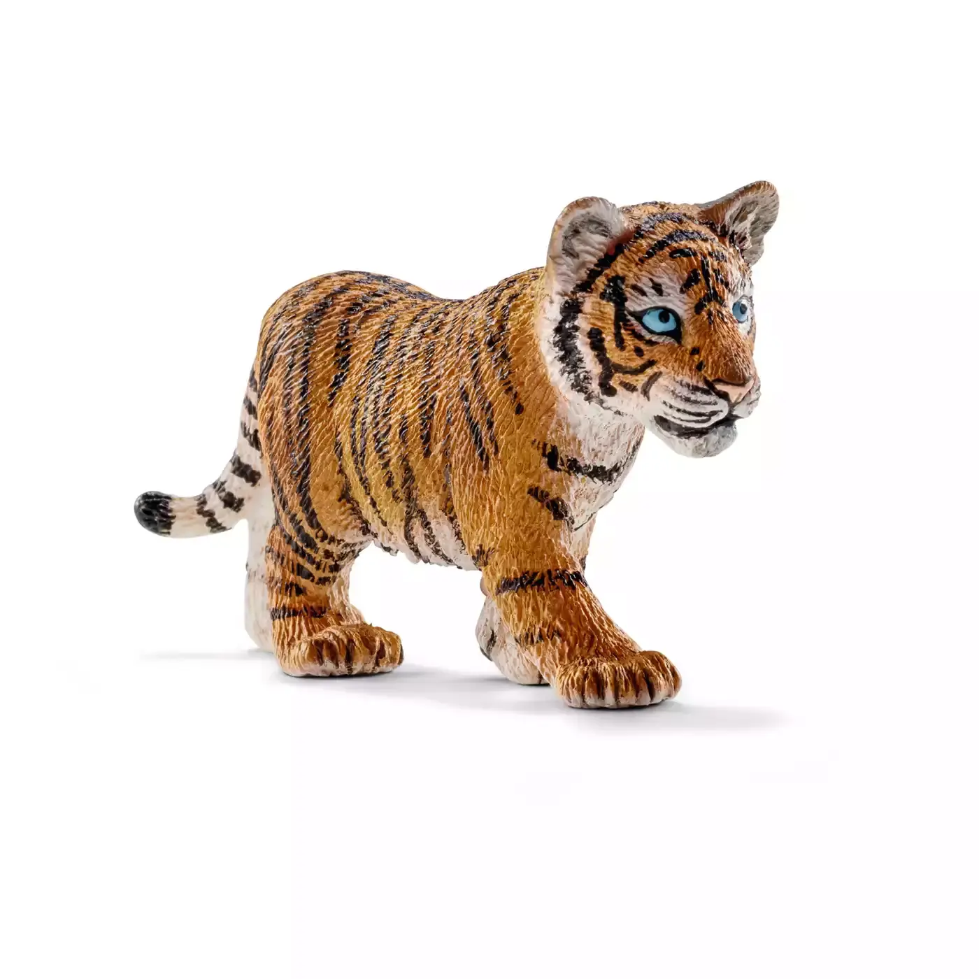 Tigerjunges - Jamouz