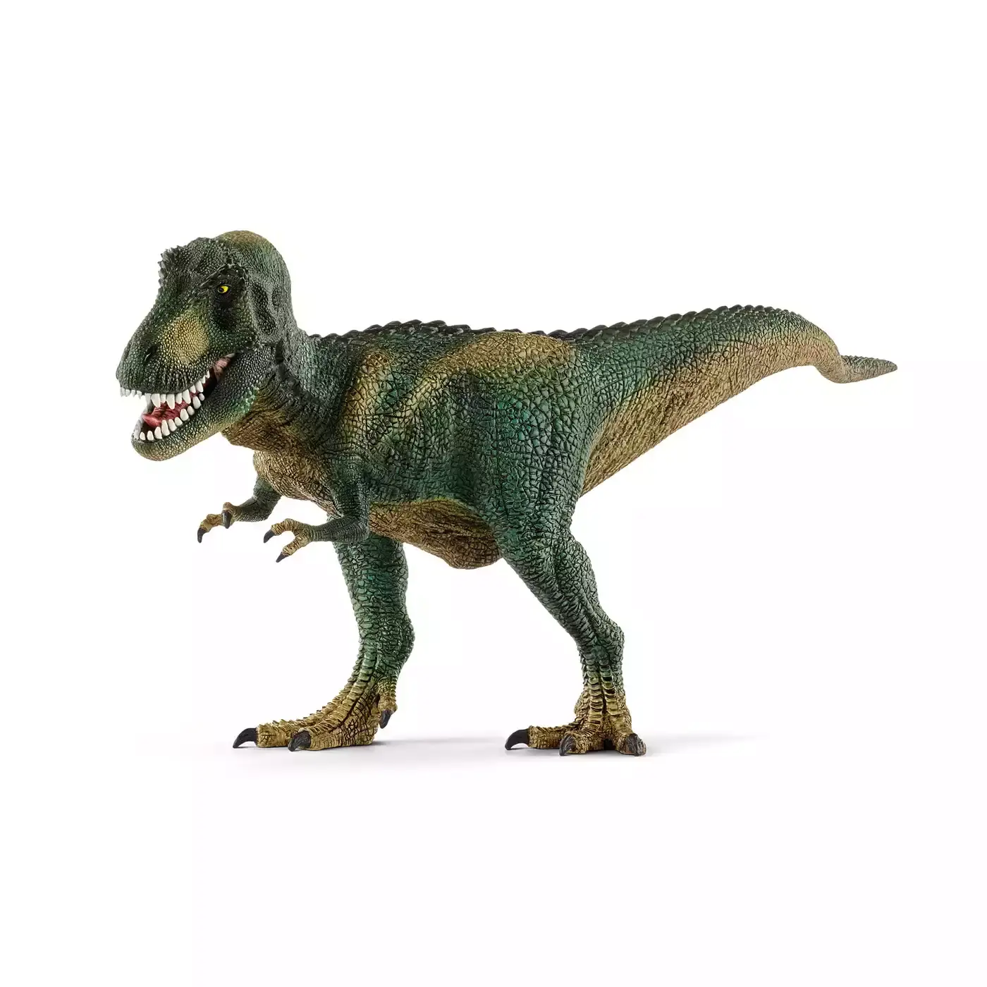 Tyrannosaurus Rex - Jamouz