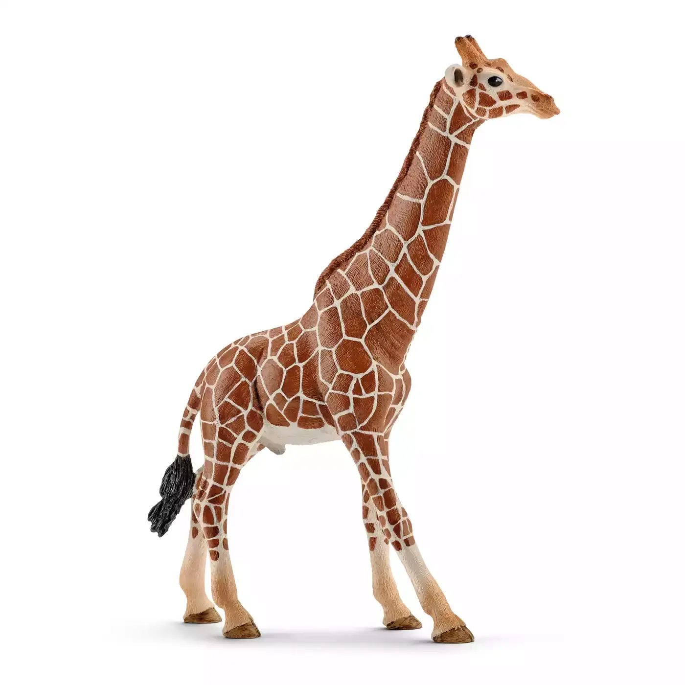 Giraffenbulle - Jamouz