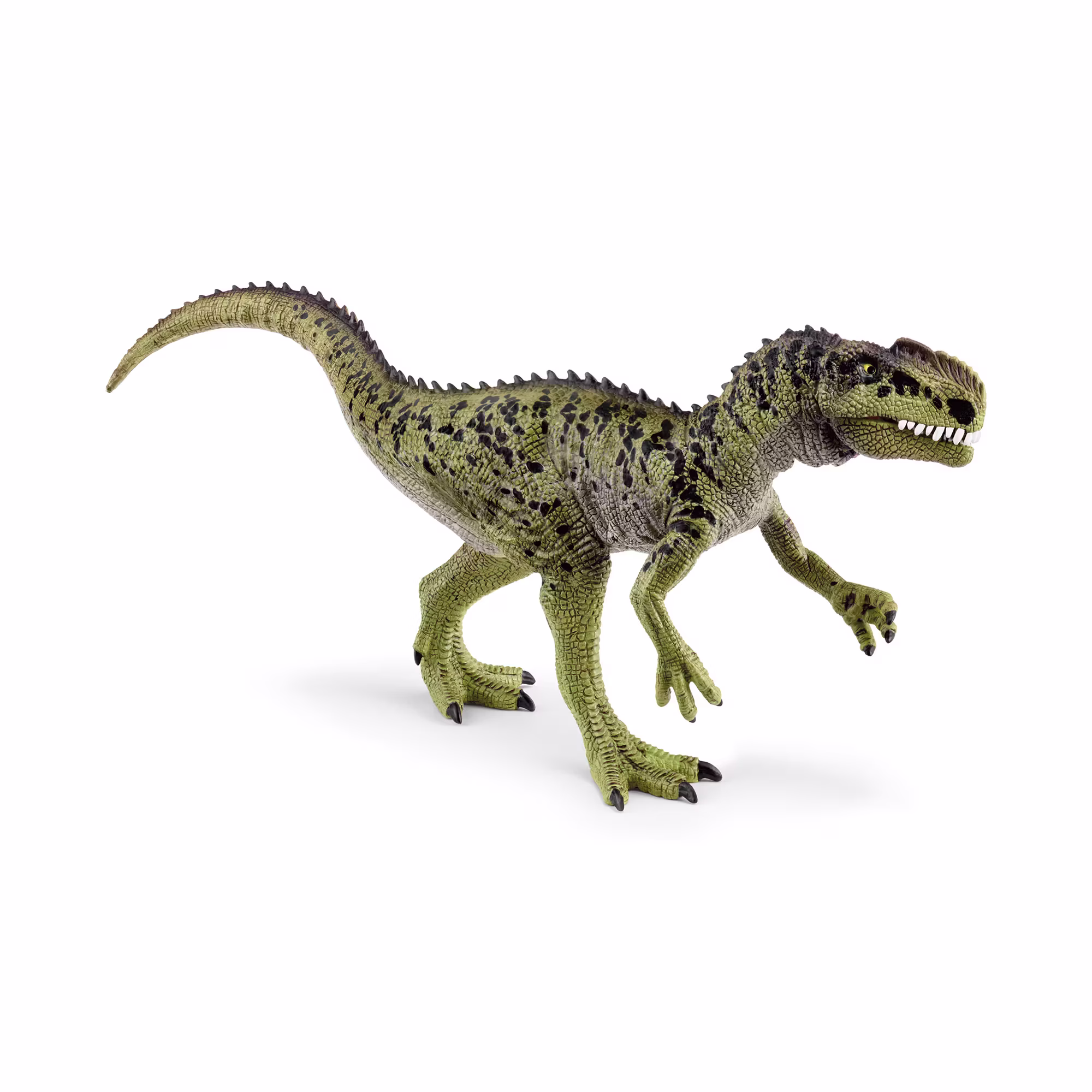 Monolophosaurus - Jamouz