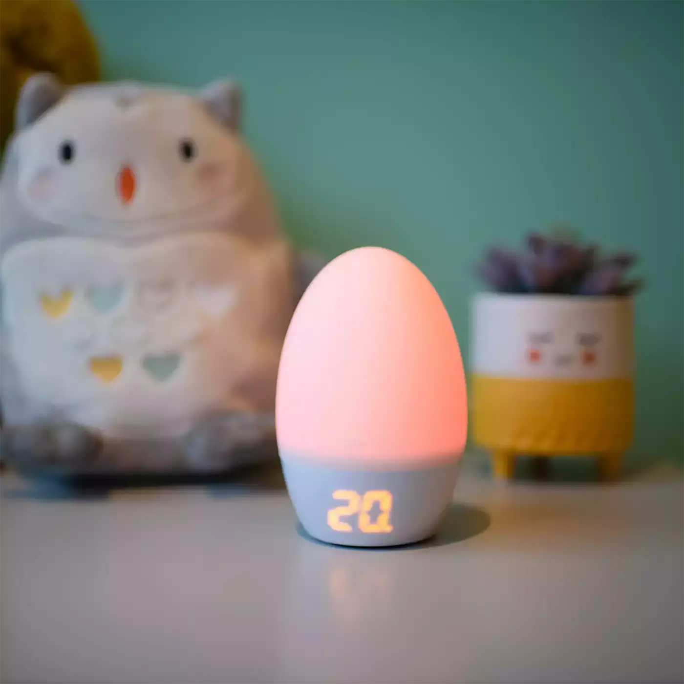 GroEgg - Jamouz
