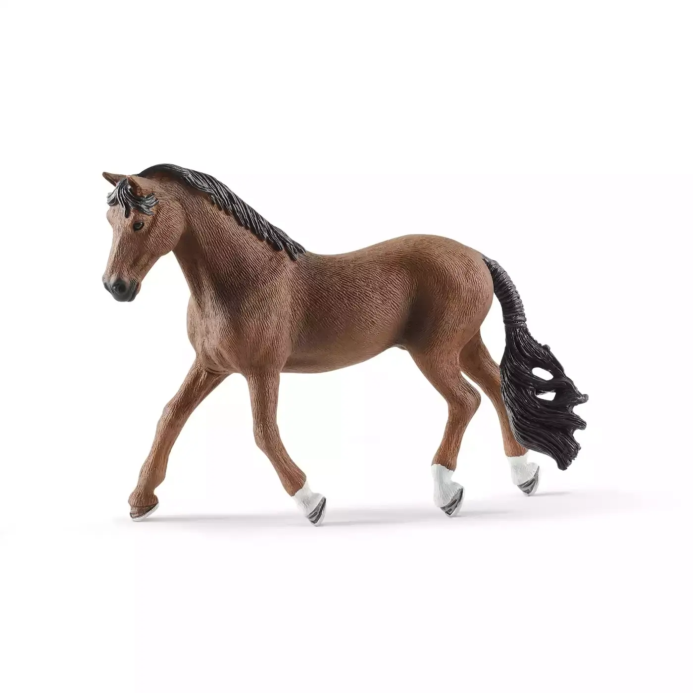 Trakehner Wallach - Jamouz