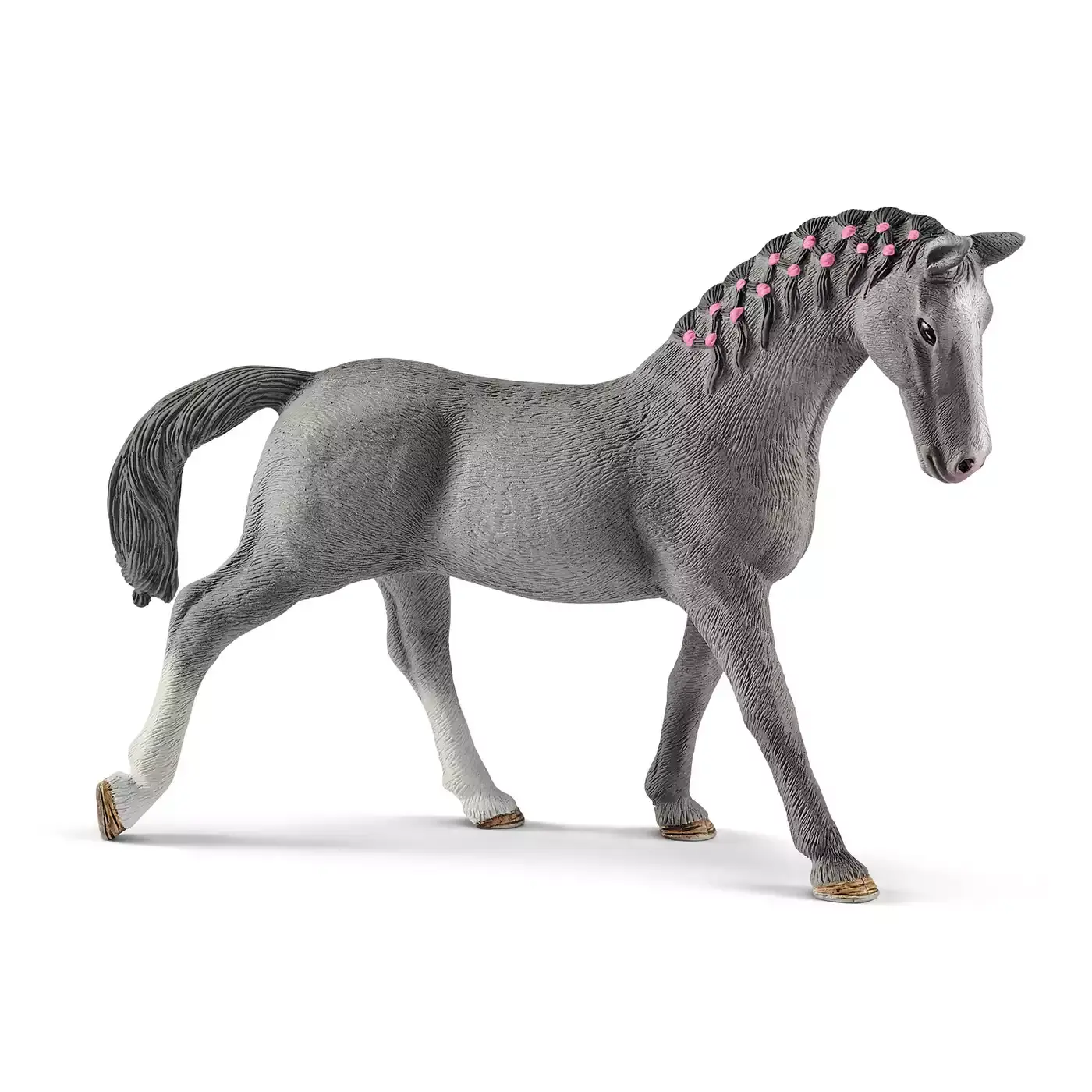 Trakehner Stute - Jamouz
