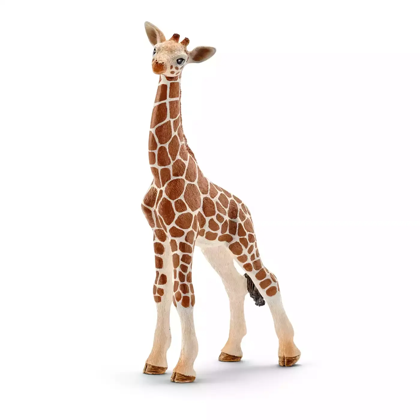 Giraffenbaby - Jamouz