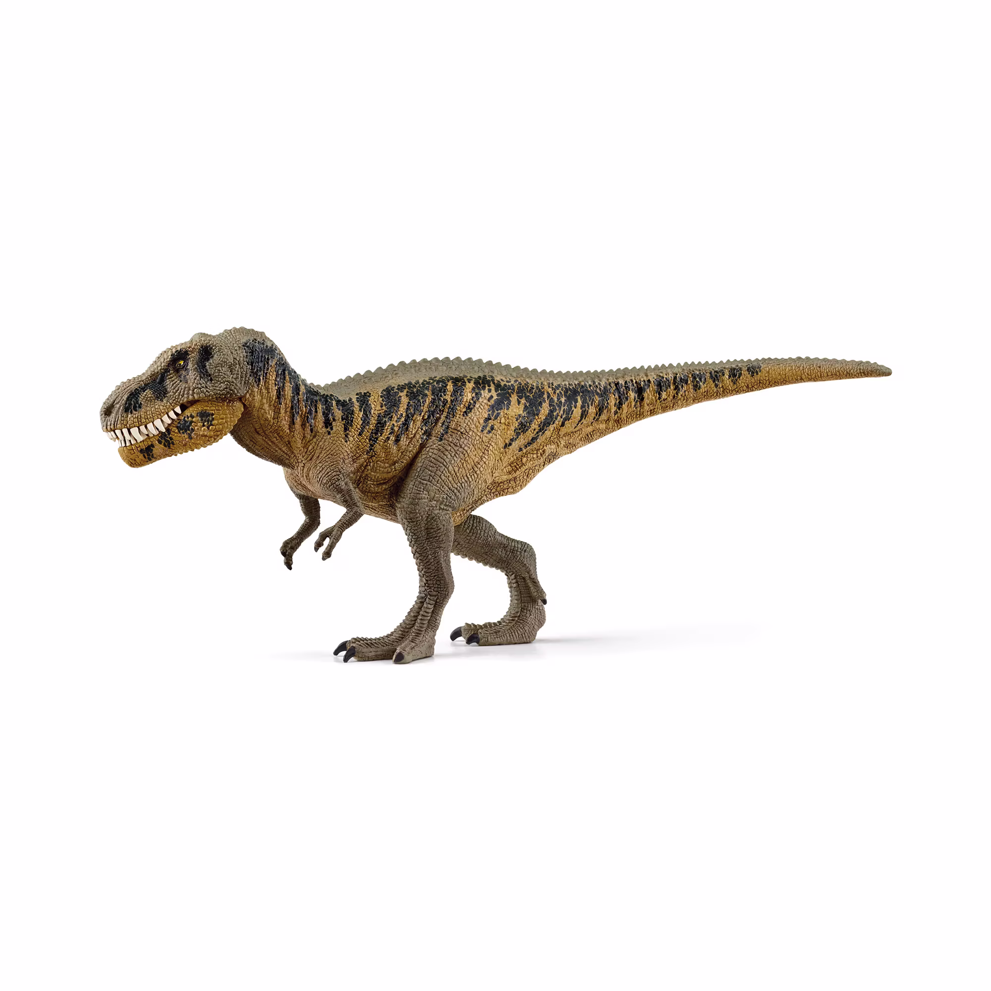 Tarbosaurus - Jamouz