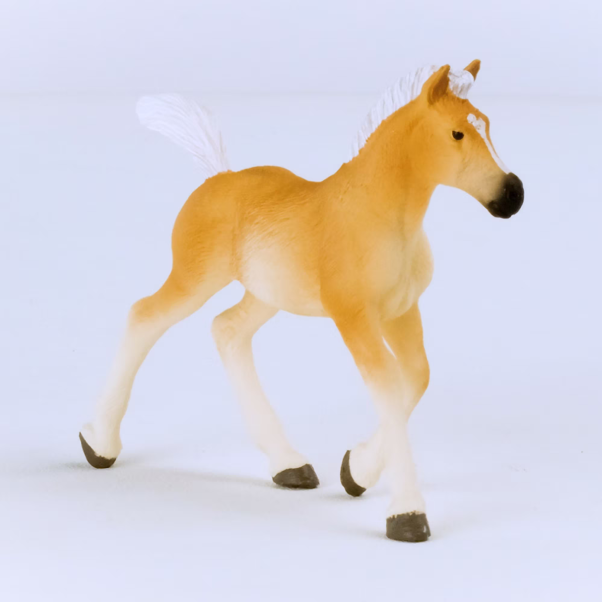 Haflinger Fohlen - Jamouz