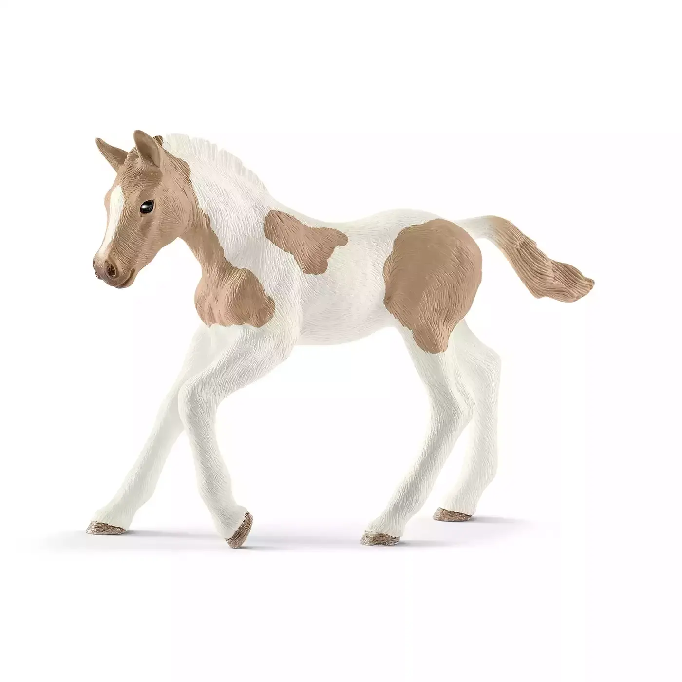 Paint Horse Fohlen - Jamouz