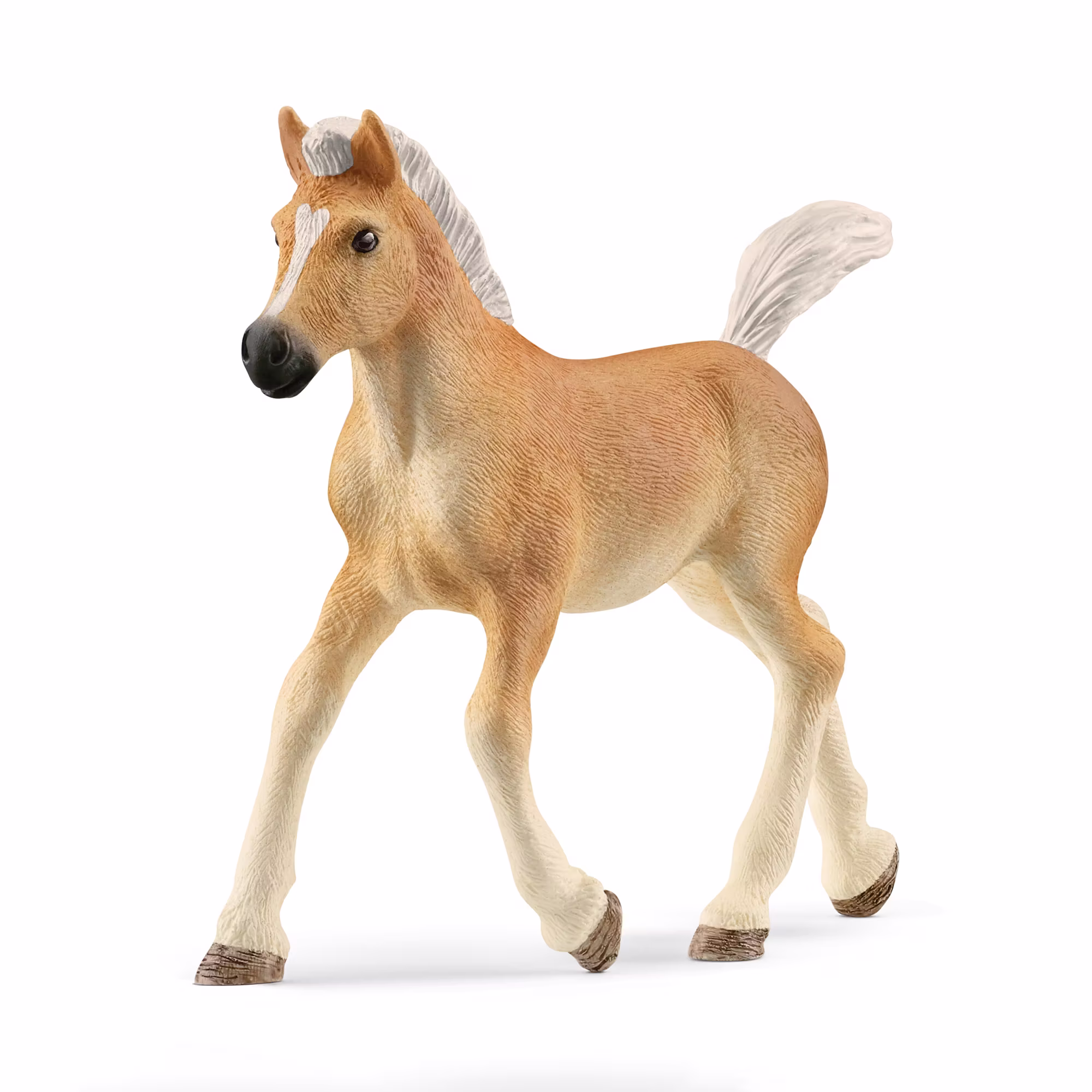Haflinger Fohlen - Jamouz
