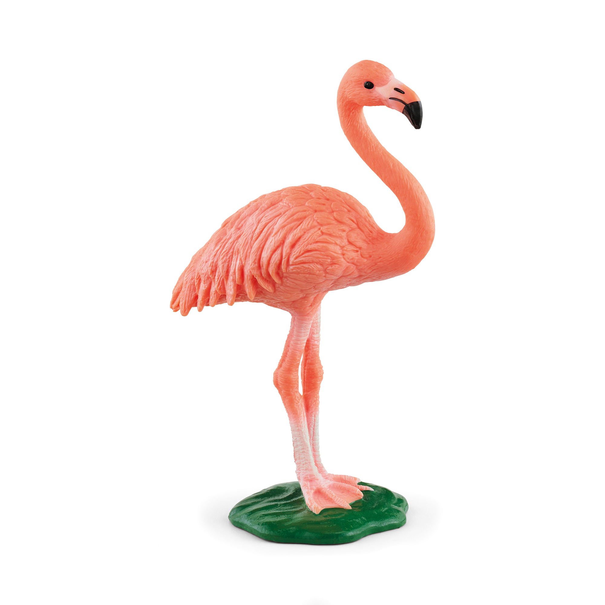 Flamingo - Jamouz