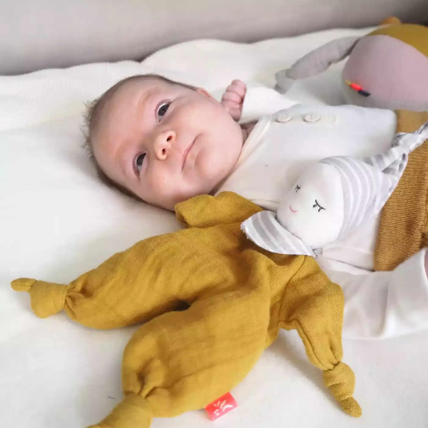 Baby Doll Mustard - Jamouz