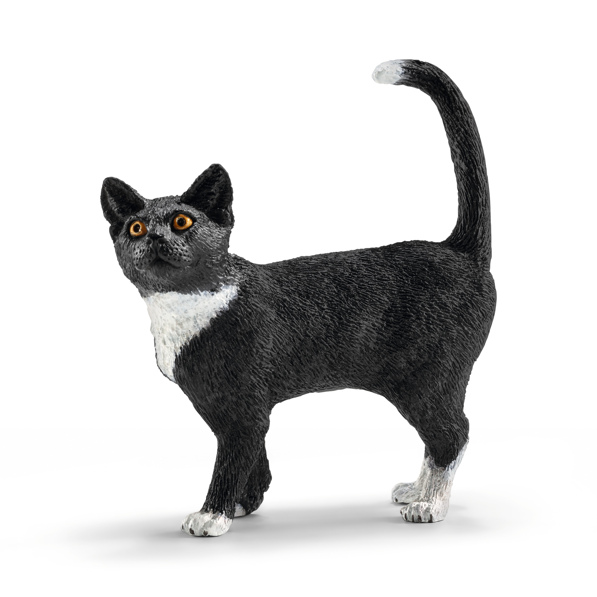 Stehende Katze - Jamouz